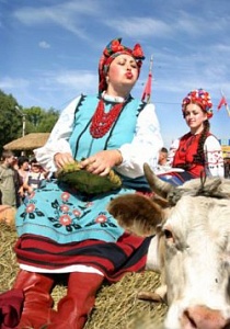 Оранжевые «свитки» украинской политики Оранжевые «свитки» украинской политики